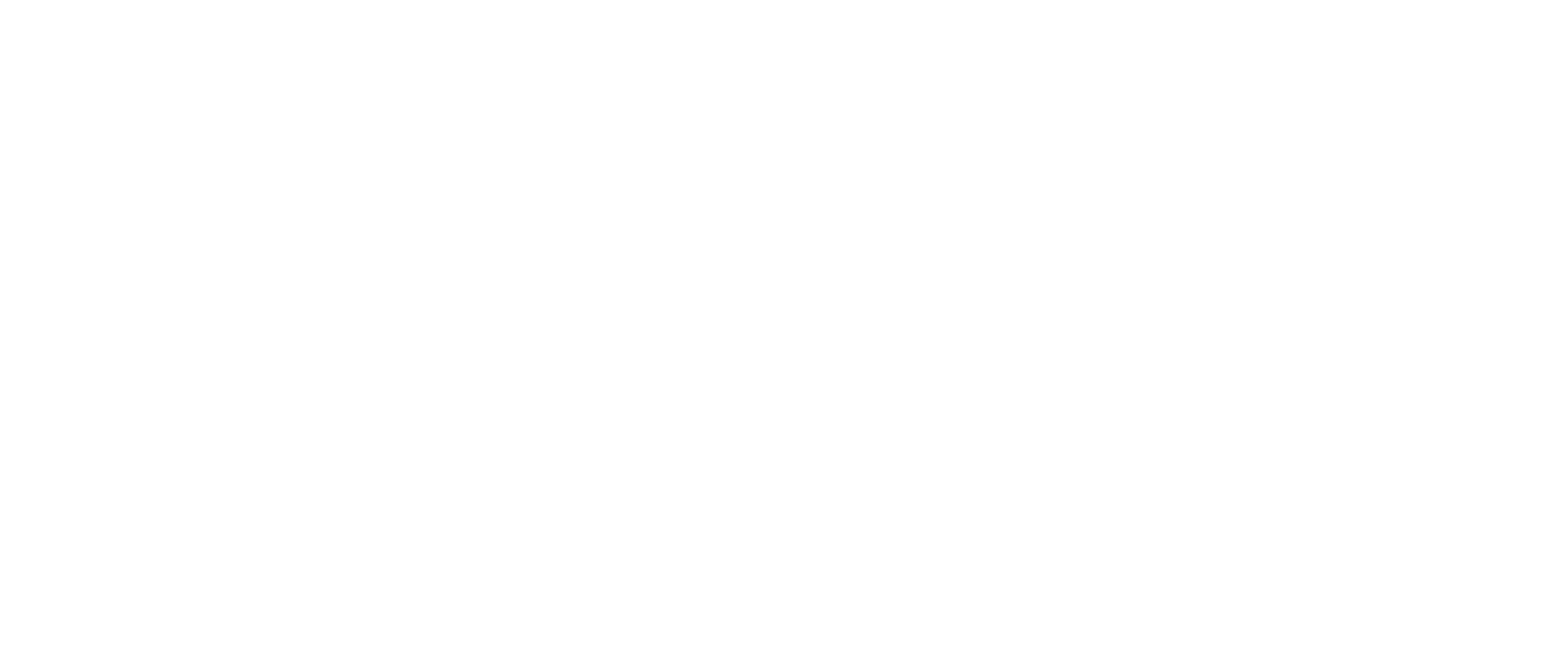 BeneVit Holding GmbH